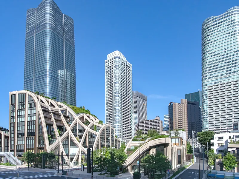 六本木・麻布野